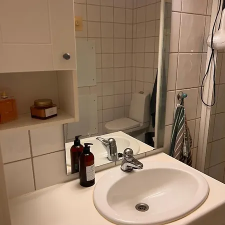 Solsiden, 2 Soverom Med Dobbeltsenger Og Parkering Apartament Trondheim